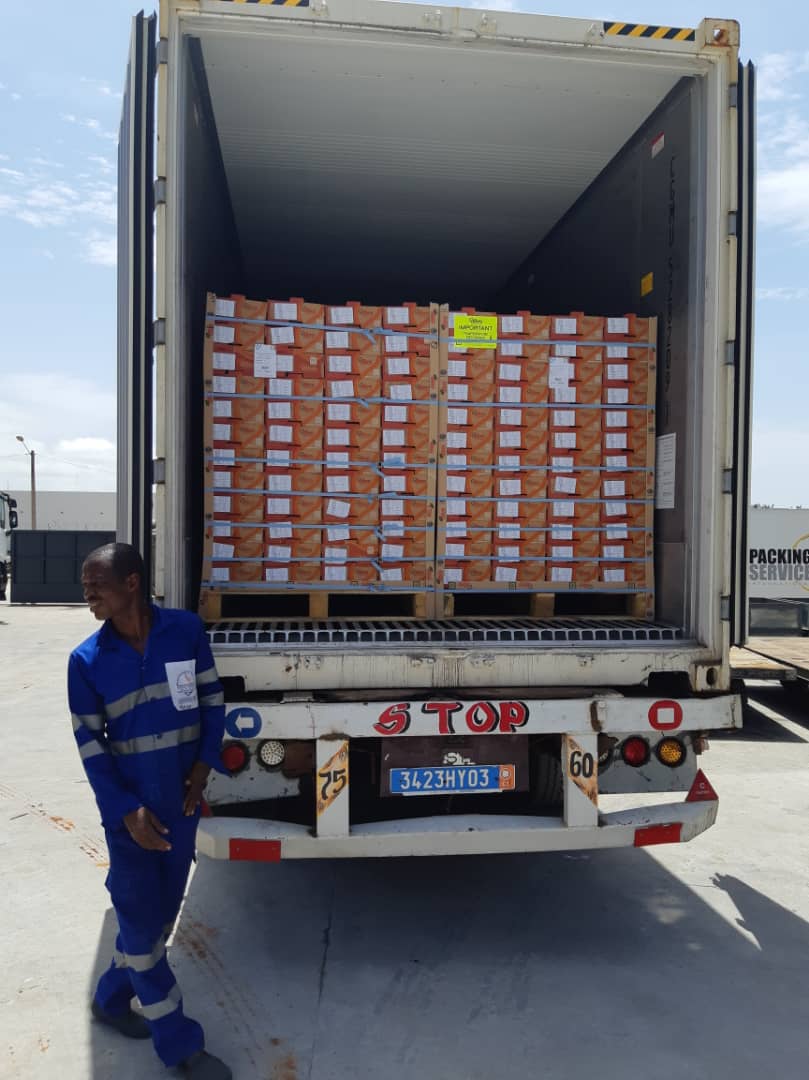 Chargement pour l'export